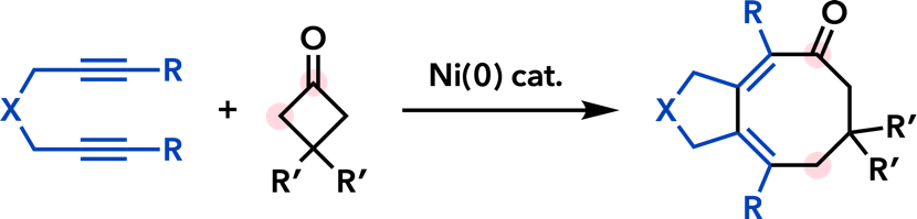 ja0552895