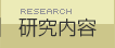 研究内容