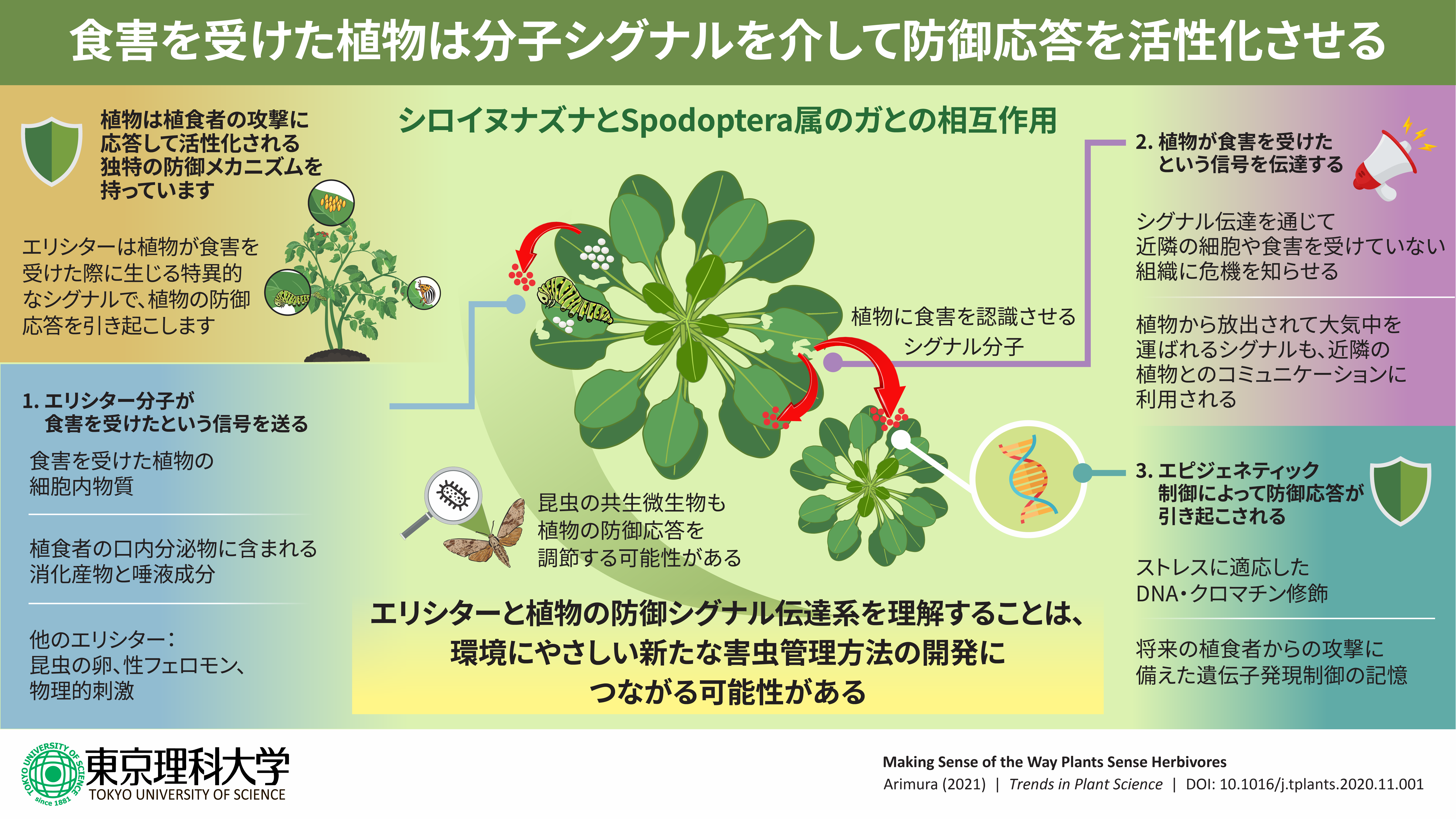 組換え植物から放出される香りを用いたアグリバイオの新展開