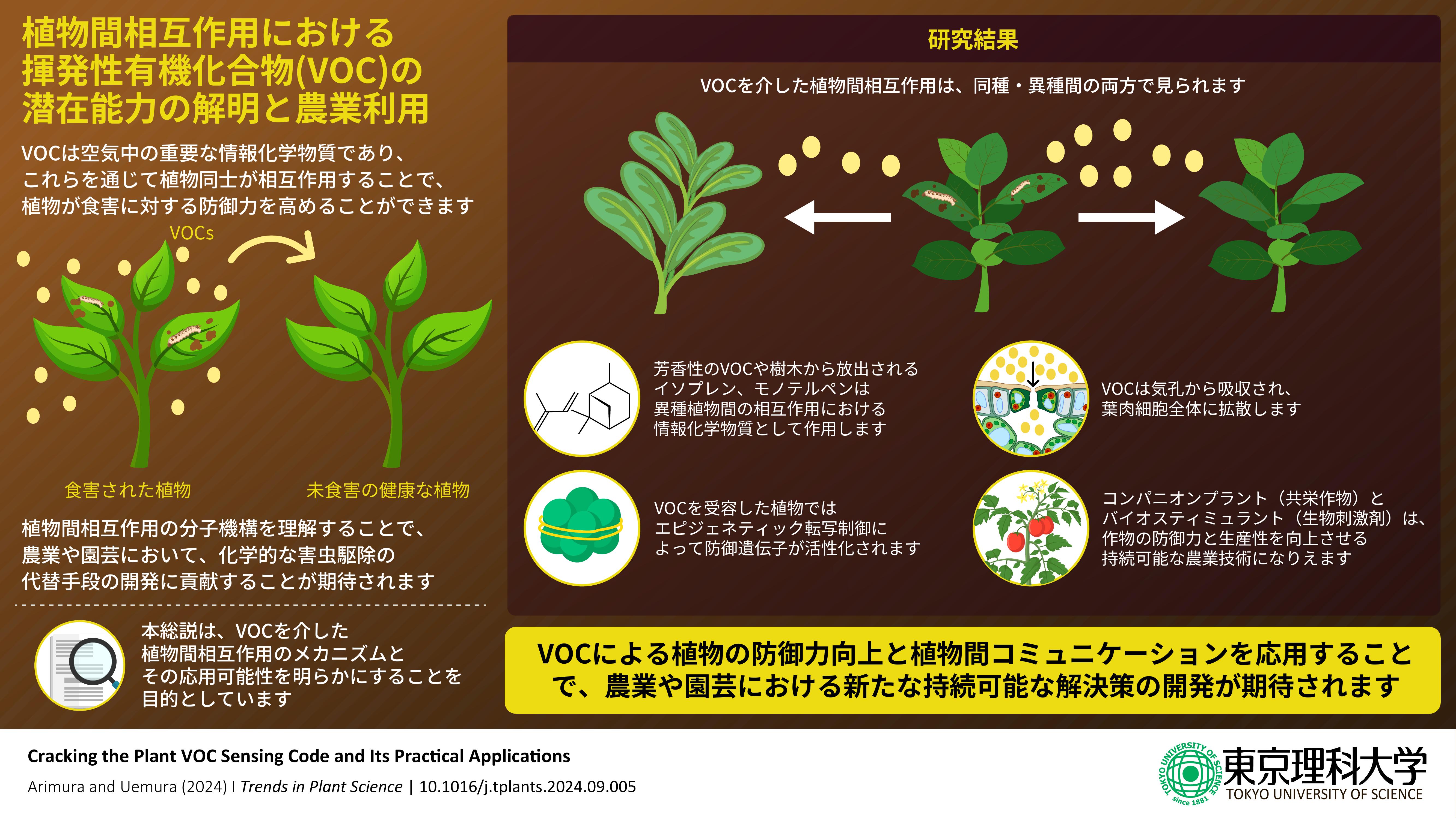 植物の香りを介したプラントコミュニケーション