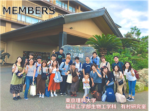 MEMBERS