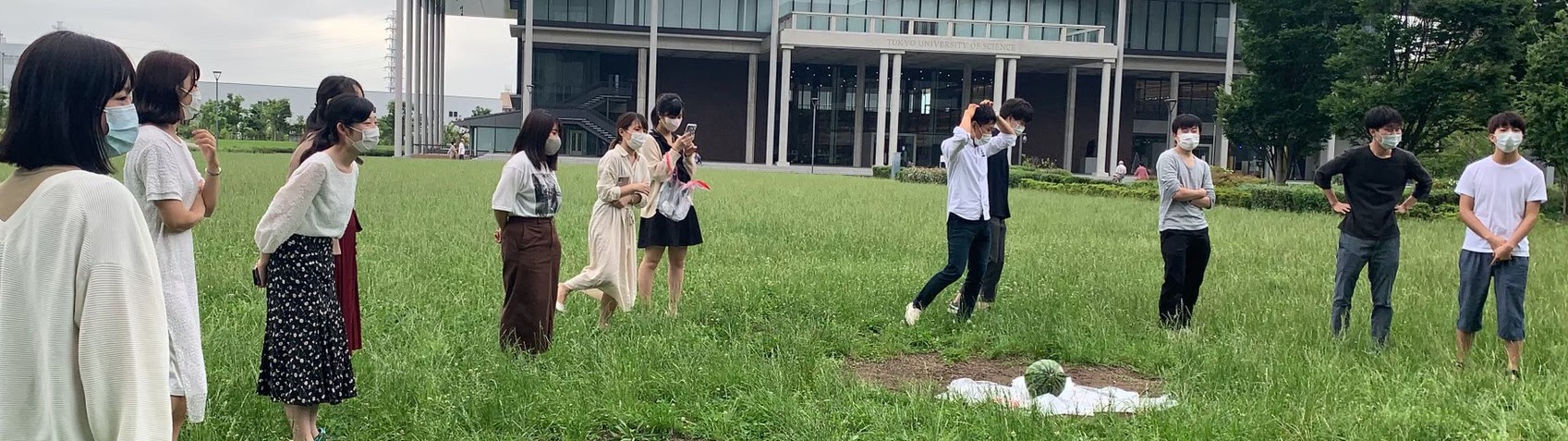 ギャラリー 有村研究室 東京理科大学 基礎工学部生物工学科 ギャラリー 有村研究室 東京理科大学 基礎工学部生物工学科
