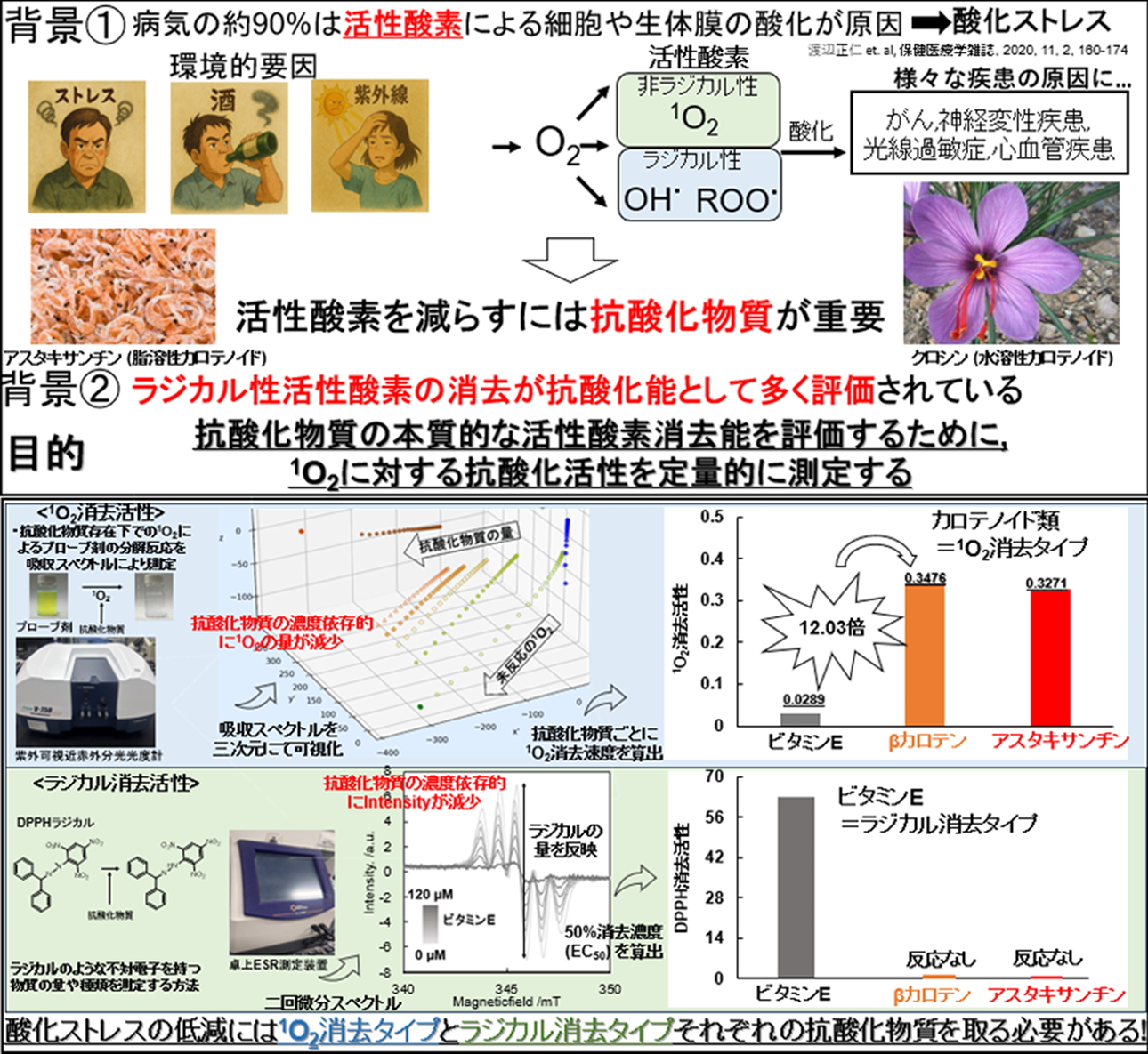 研究概要 | TUS: Goto Laboratory