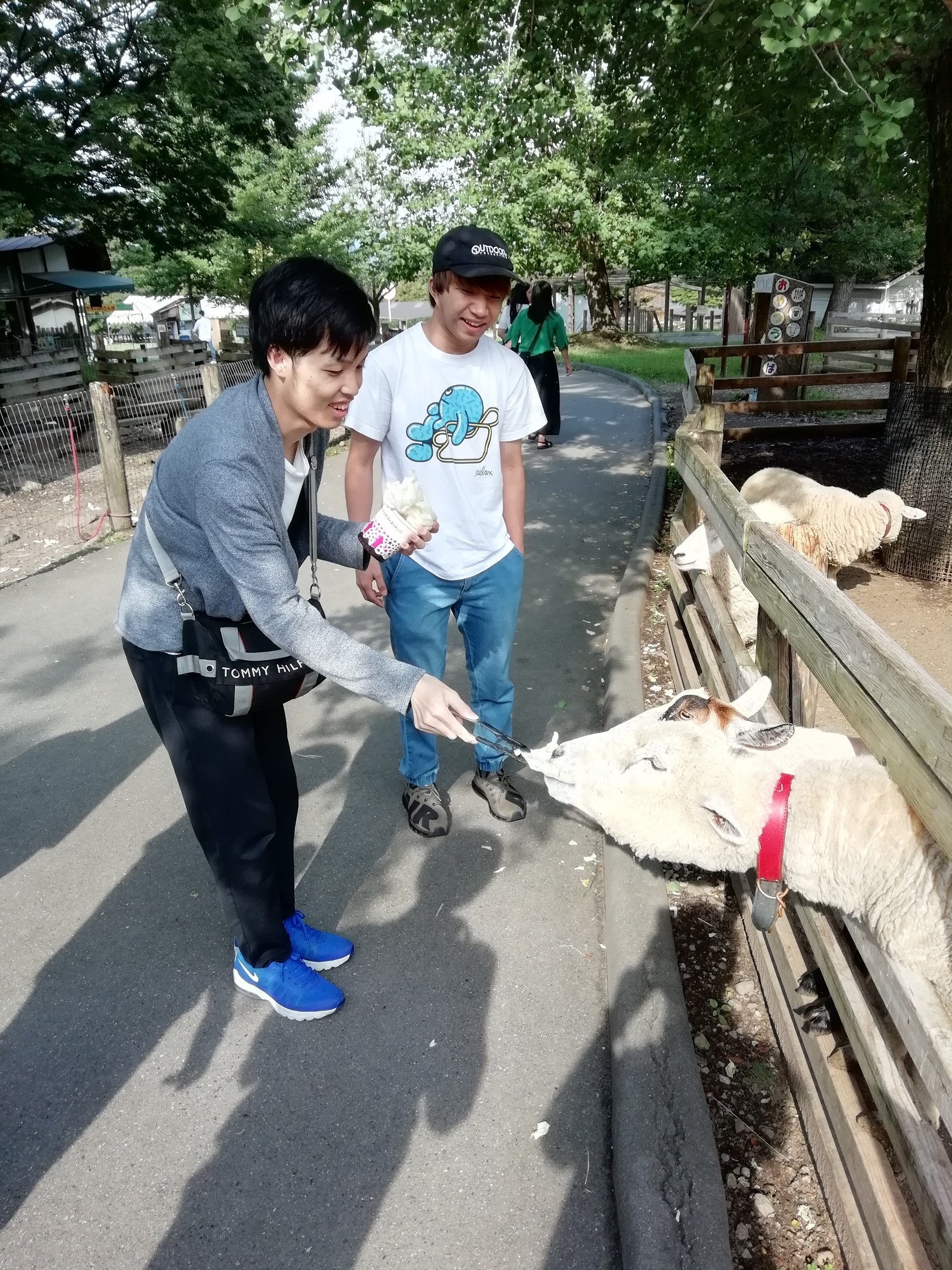 合宿の様子(2018)