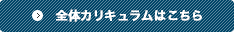 全体カリキュラムはこちら