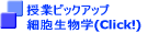 ƃAo Ɛɑ錾t(Click!) 
