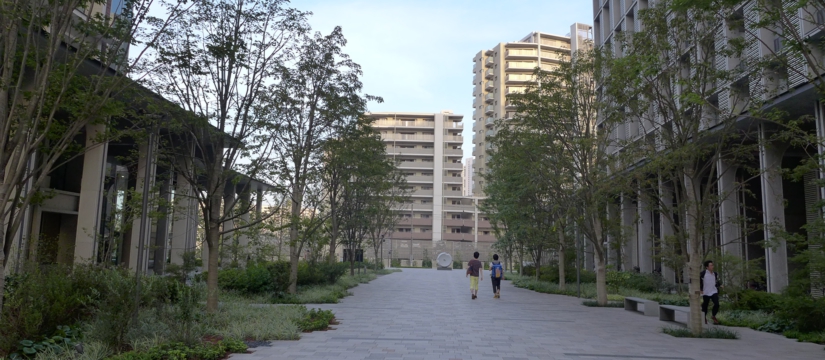 p1000019.jpg