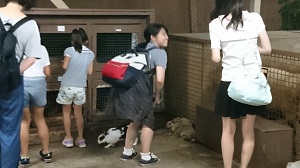 旅行