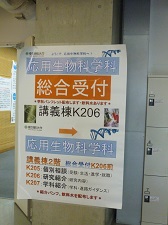 バレーボール