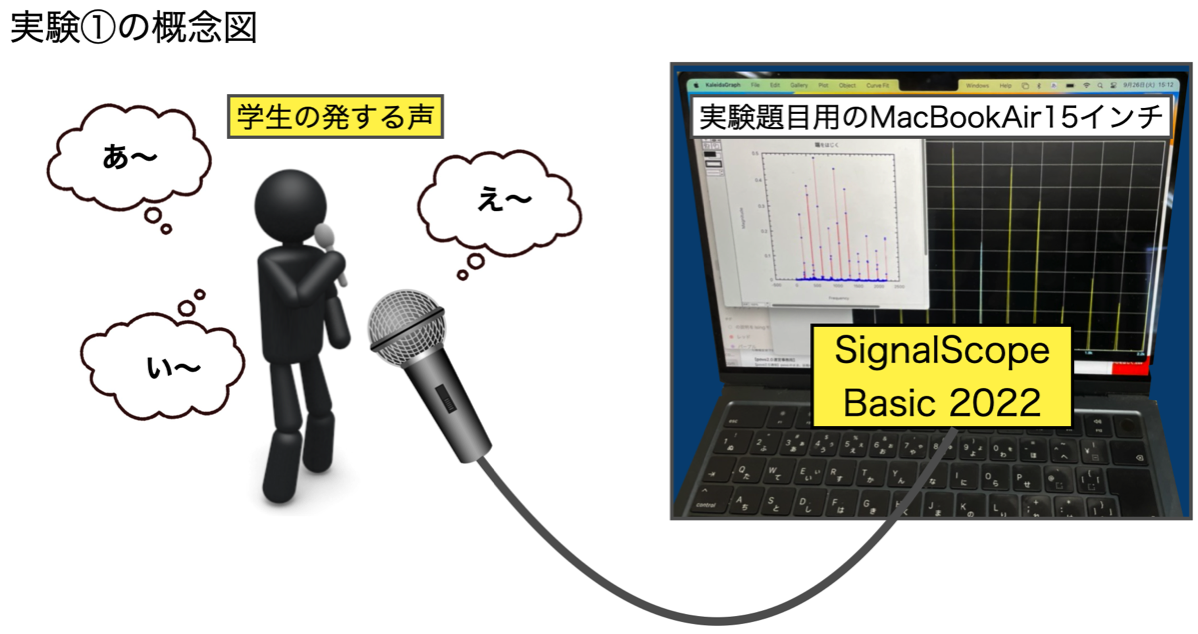 実験①