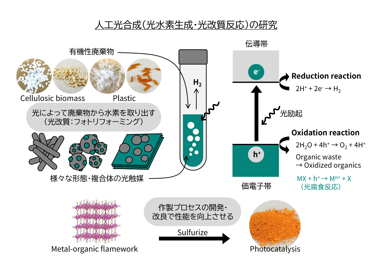 人工光合成の研究内容