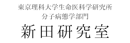 新田研究室