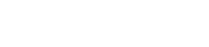 NANO-QUANTUM INFORMATION RESEARCH DIVISION