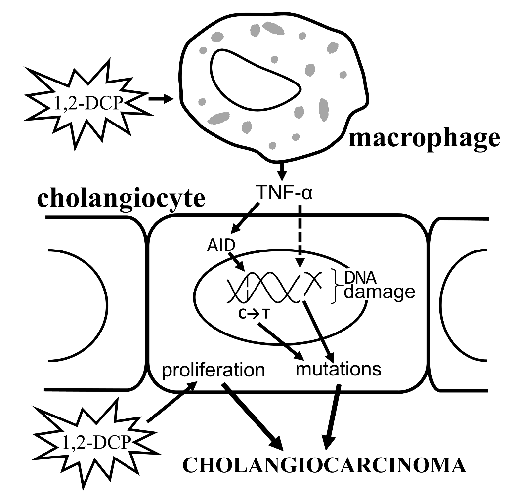 figure04