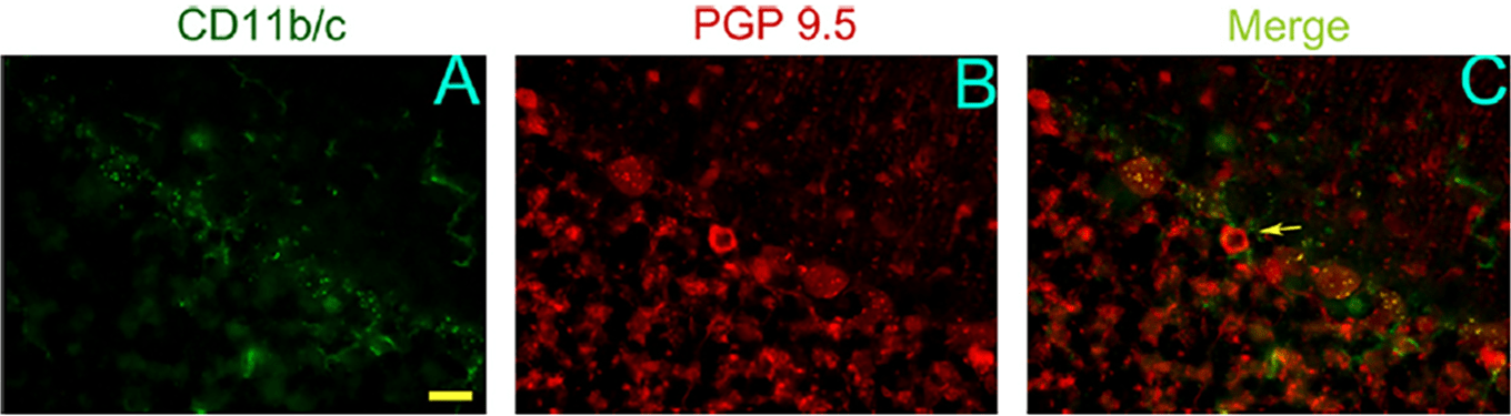 figure01