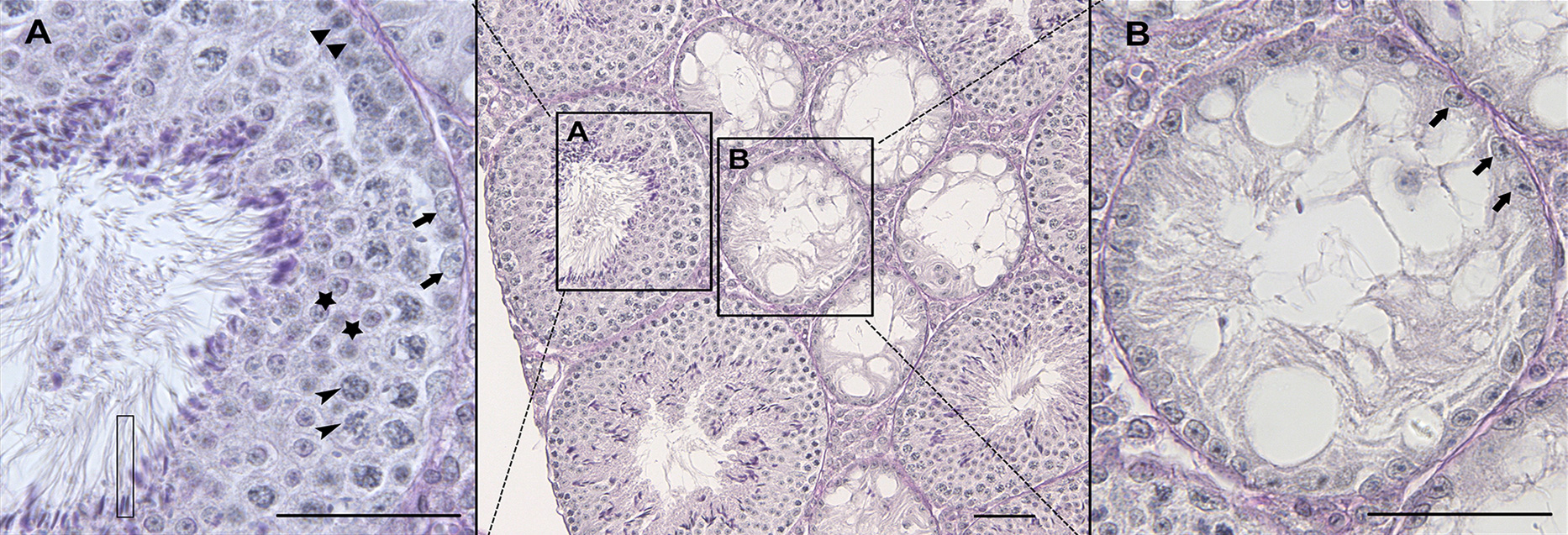 figure01