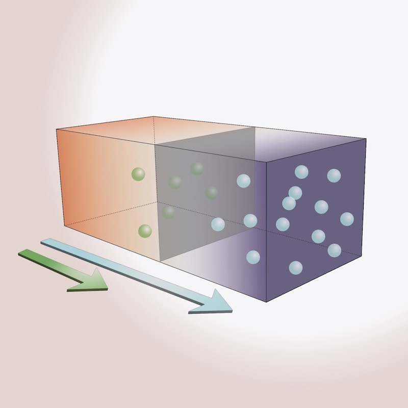 生物活性天然物の化学合成―生体機能分子をどうつくるか [単行本] 森 謙治 生物活性天然物の化学合成 生体機能分子をどうつくるか | 森