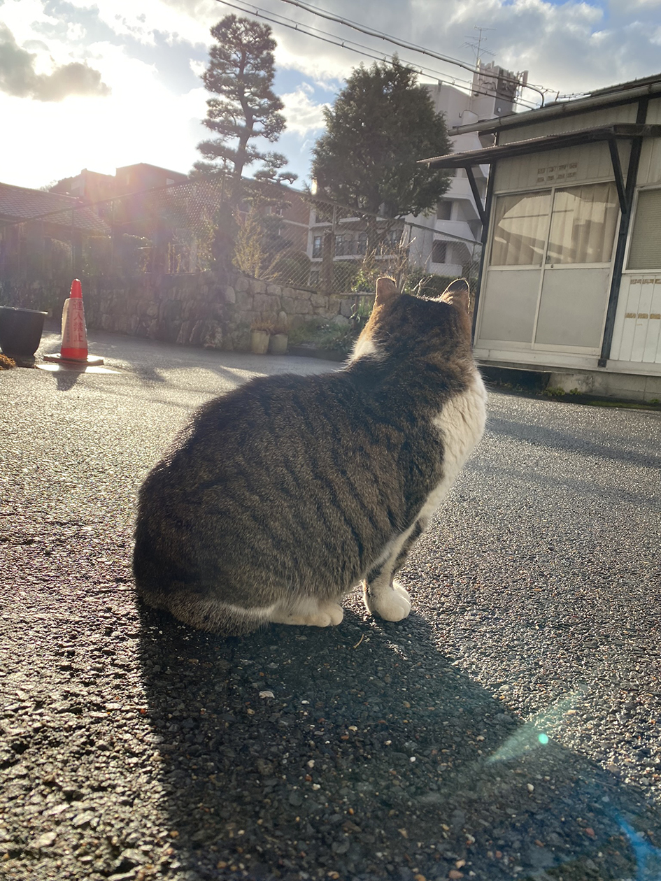 �C�x���g2023