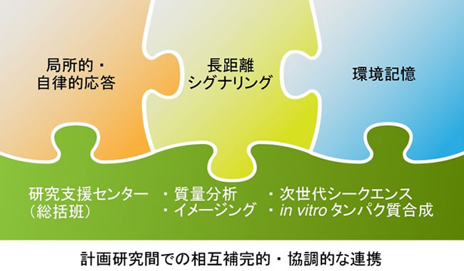 図.計画研究間での相互補完的・協調的な連携