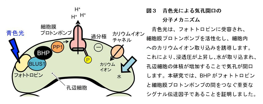 図3."