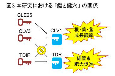 図3."