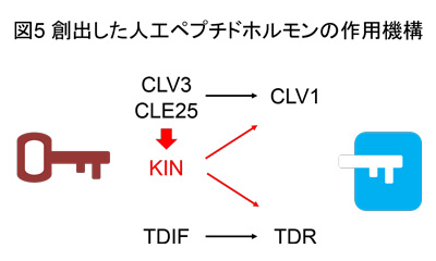 図5."