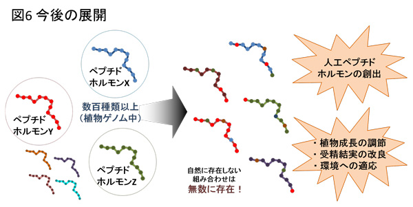 図6."