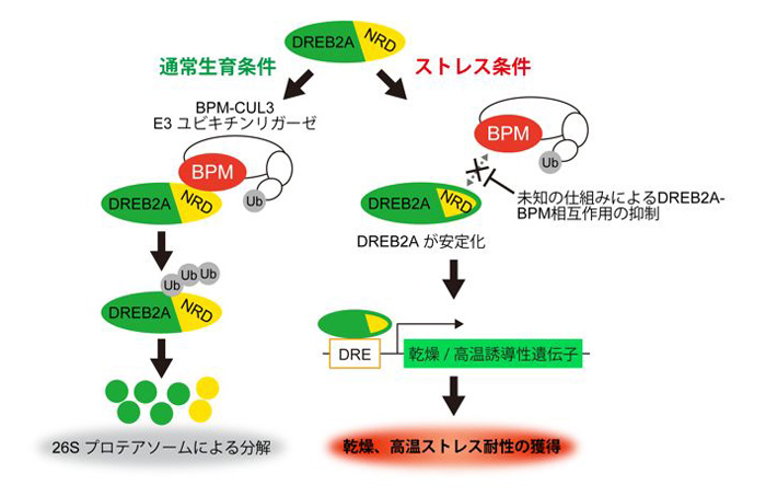 図1."