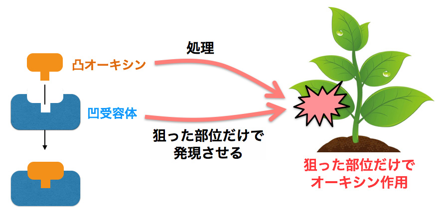 図2."