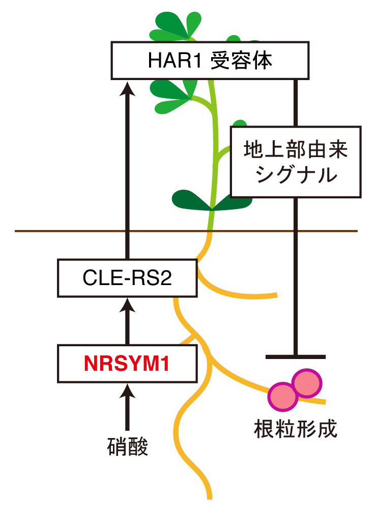 図2."