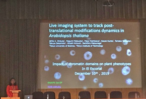 写真：SEB meetingでの発表の様子