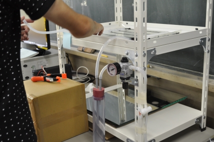 matsuzaki lab