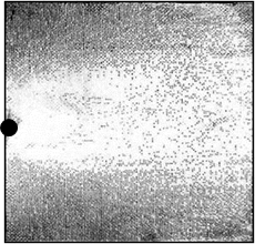 void2