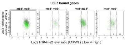 松永グループによるエピジェネティクス状態と遺伝子発現の相関性を調べたChIP-seqとRNA-seqの統合解析結果