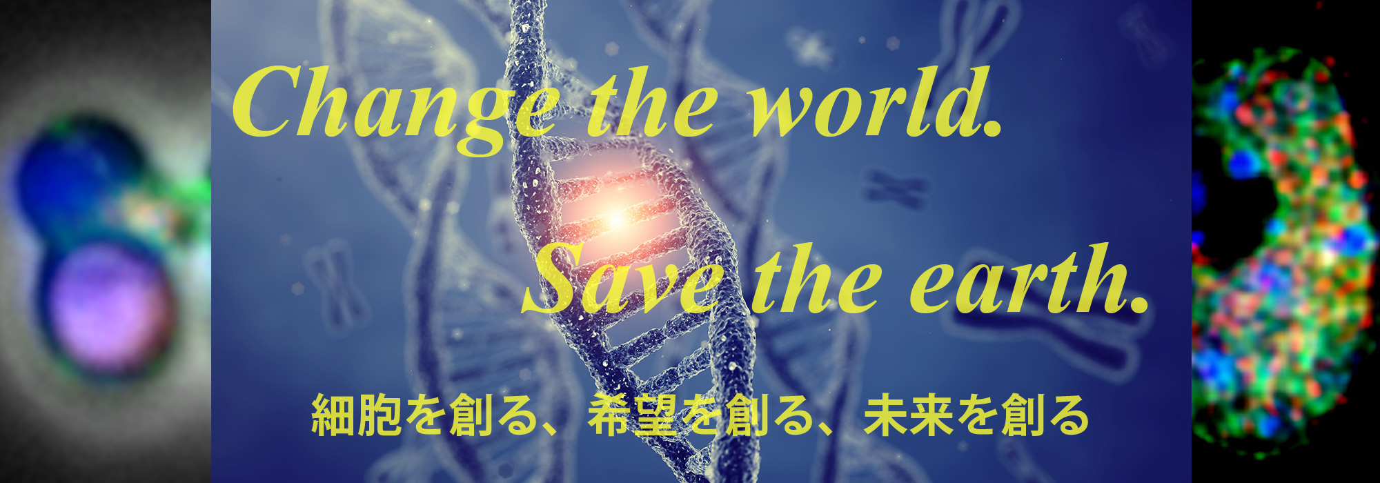 東京理科大学　総合研究院　合成生物学研究部門　Change the world. Save the earth.