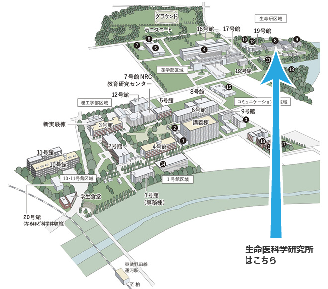 東京理科大学　野田キャンパス