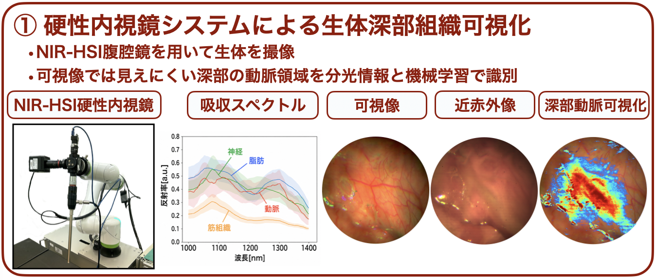 硬性内視鏡システムによる生体ブタ深部組織の可視化