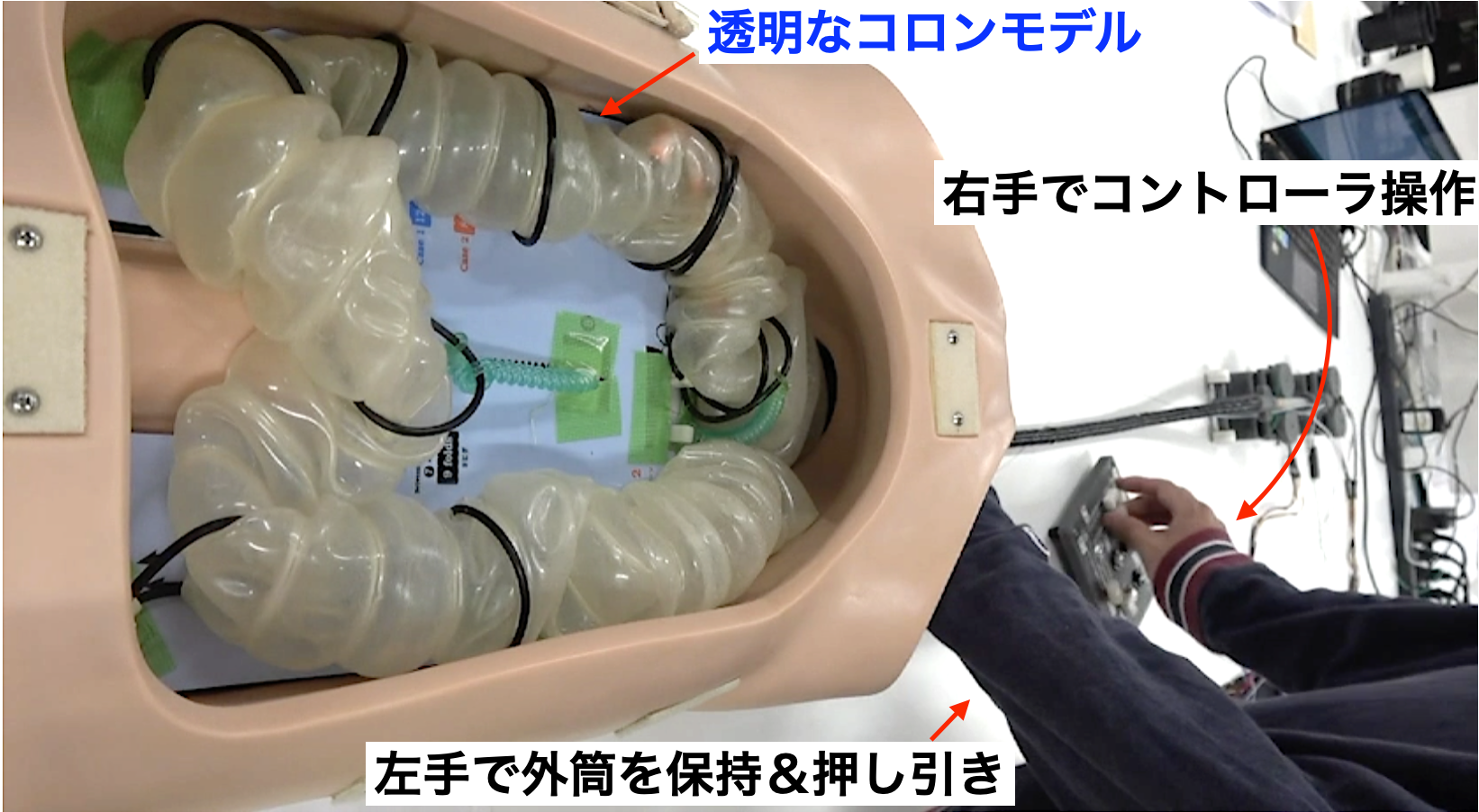 透明なコロンモデルを用いた大腸自動挿入内視鏡の挿入検証
