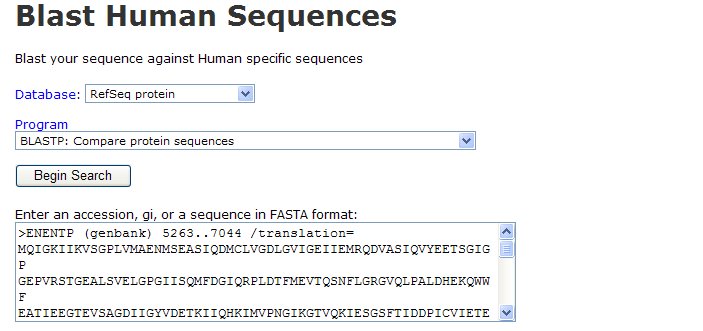 BLASTtheGenome
