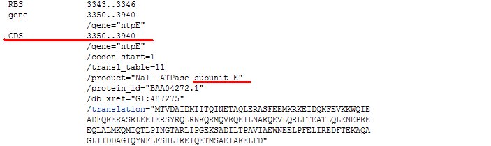 GenBank_seq