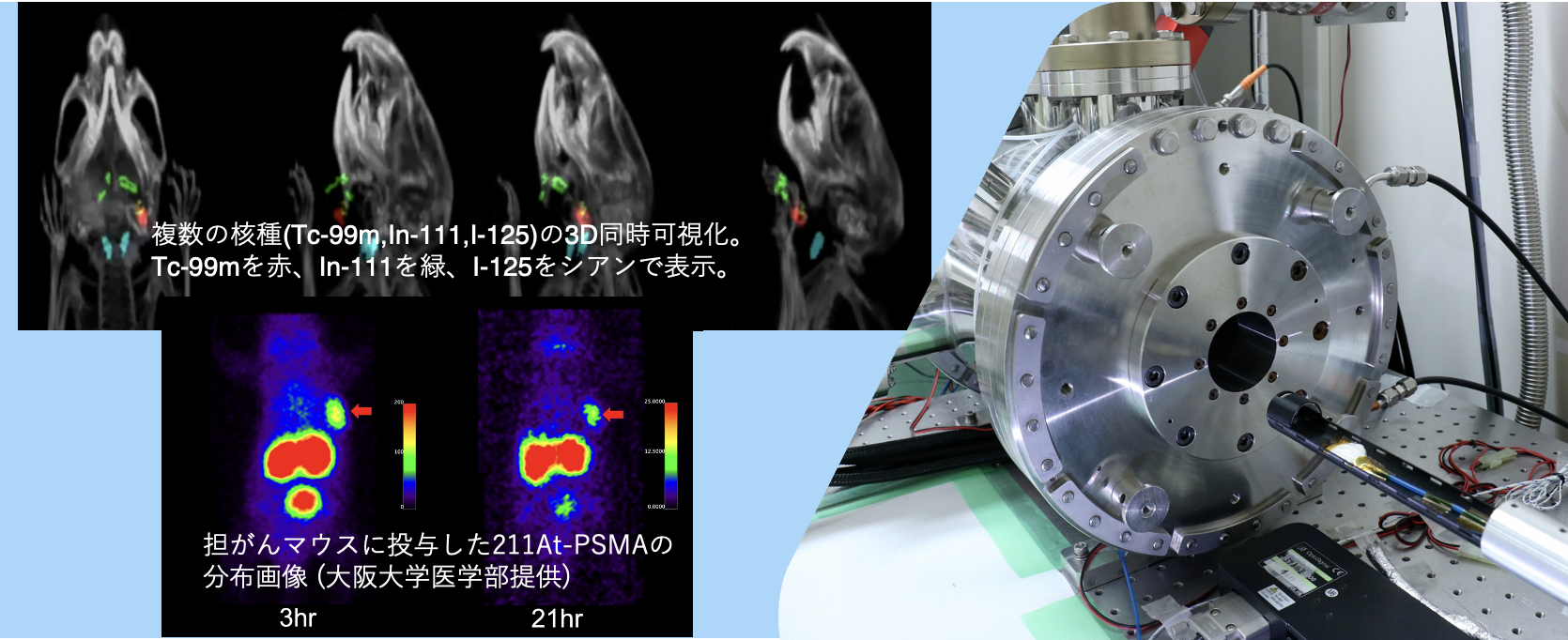 invivo_imaging
