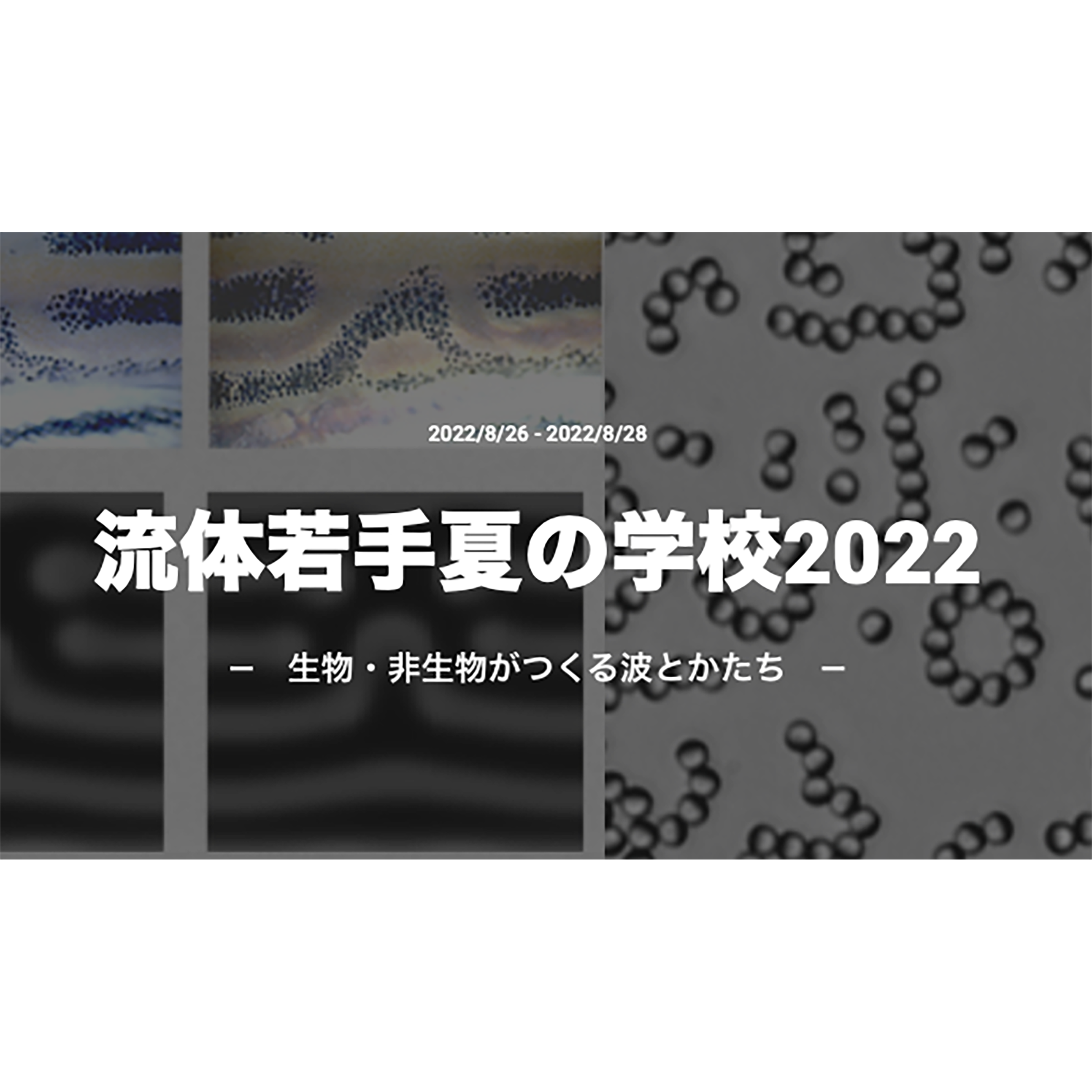 流体若手夏の学校2022が開催されます．