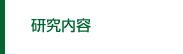 研究内容